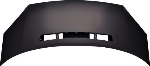 ABAKUS 017-41-100 - Капот двигателя abcparts.ee