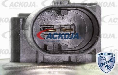 ACKOJA A38-0287 - Комплект подшипника, ступицы колеса abcparts.ee
