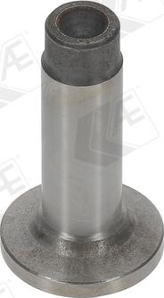 AE FOL55 - Толкатель, гидрокомпенсатор abcparts.ee