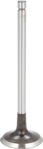 AE V94599 - Впускной клапан abcparts.ee