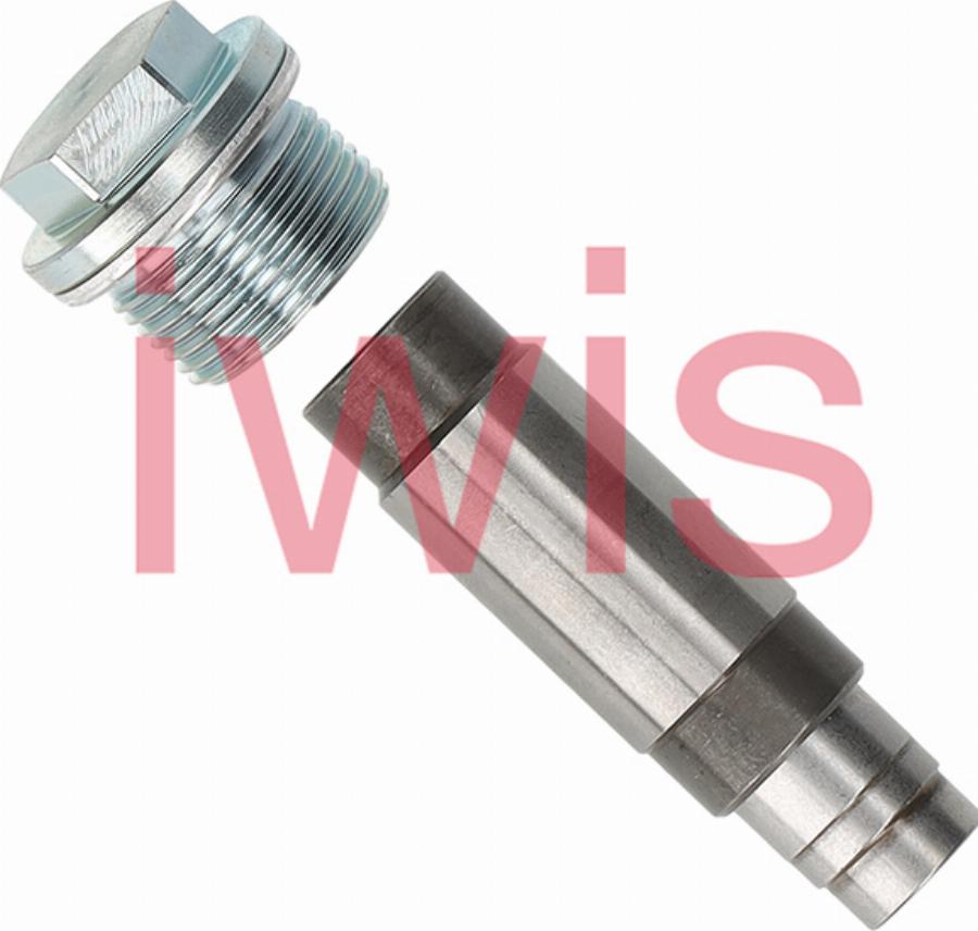 AIC 61238 - Натяжитель цепи ГРМ abcparts.ee