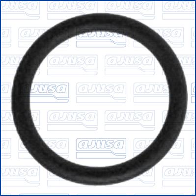 Ajusa 16010600 - Уплотнительное кольцо, выпуск масла (компрессор) abcparts.ee