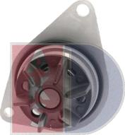 AKS Dasis 570112N - Водяной насос abcparts.ee