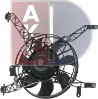 AKS Dasis 098137N - Вентилятор, охлаждение двигателя abcparts.ee