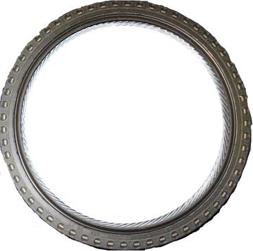 Allmakes 4621939AB - Уплотняющее кольцо, коленчатый вал abcparts.ee