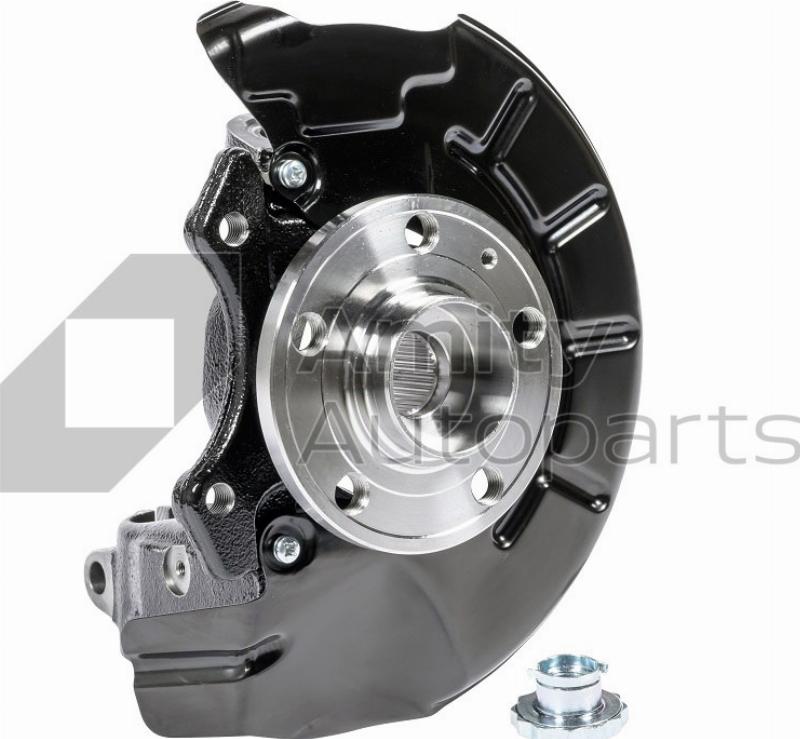Amity AP 60-SK-0003 - Поворотный кулак, подвеска колеса abcparts.ee