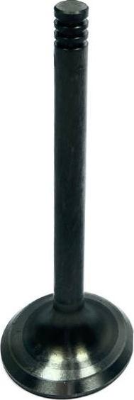 Amp PVWG005 - Впускной клапан abcparts.ee