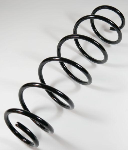 APEX 66950 - Пружина ходовой части abcparts.ee