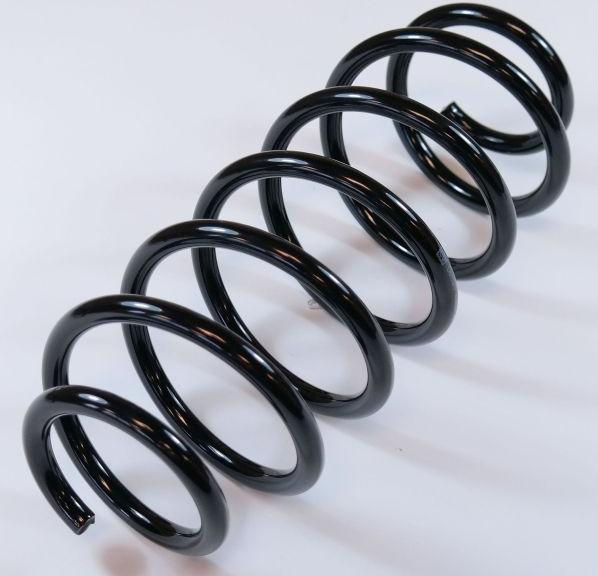 APEX 63719 - Пружина ходовой части abcparts.ee