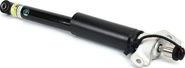 Arnott SK-3433 - Амортизатор abcparts.ee