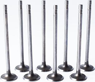 ASAM 55828 - Впускной клапан abcparts.ee