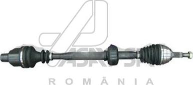 ASAM 30213 - Приводной вал abcparts.ee
