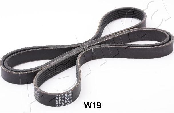Ashika 96-0W-W19 - Поликлиновой ремень abcparts.ee