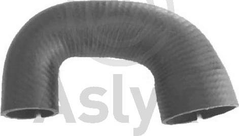 Aslyx AS-594379 - Трубка, нагнетание воздуха abcparts.ee