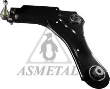 AS Metal 30RN0514 - Рычаг подвески колеса abcparts.ee