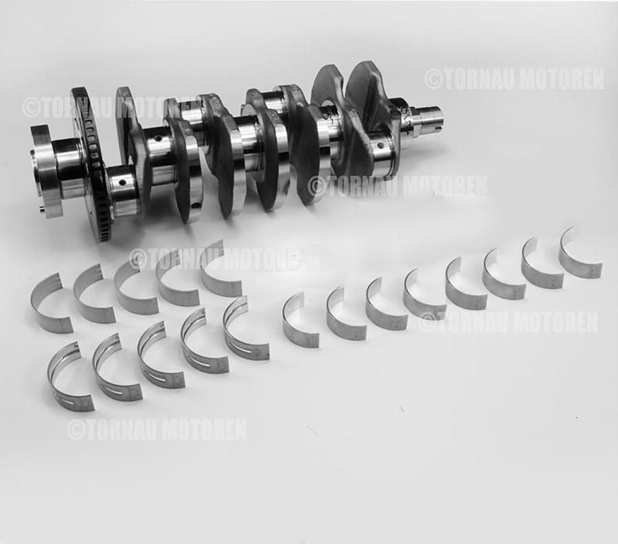 ATMMotoren 10006948 - Коленчатый вал abcparts.ee