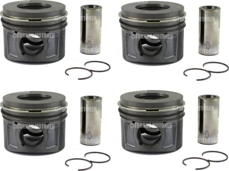 ATMMotoren 10006949 - Поршень abcparts.ee