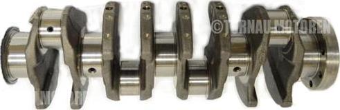 ATMMotoren 10000720 - Коленчатый вал abcparts.ee