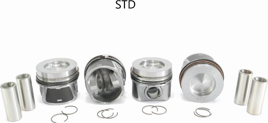 ATMMotoren 10003368 - Поршень abcparts.ee