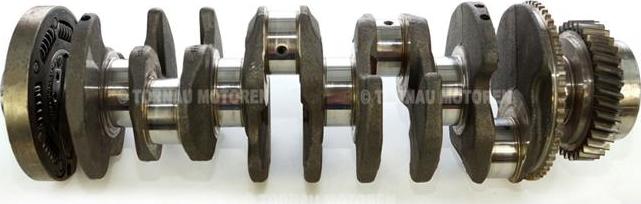 ATMMotoren 10007413 - Коленчатый вал abcparts.ee