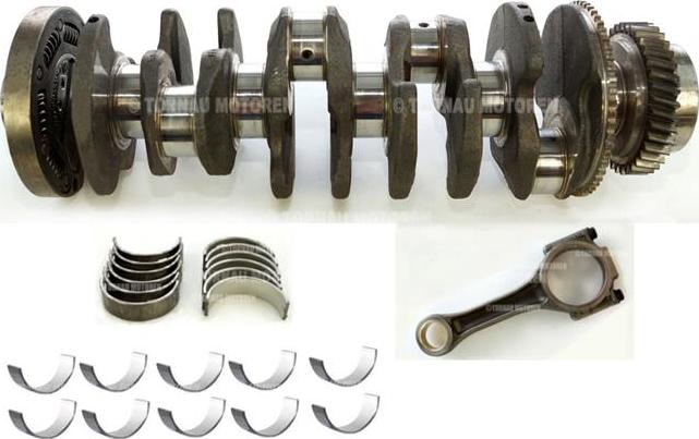 ATMMotoren 10007424 - Коленчатый вал abcparts.ee