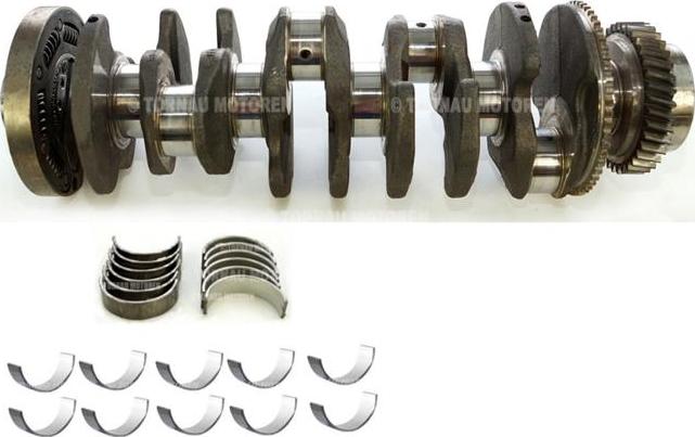 ATMMotoren 10007422 - Коленчатый вал abcparts.ee