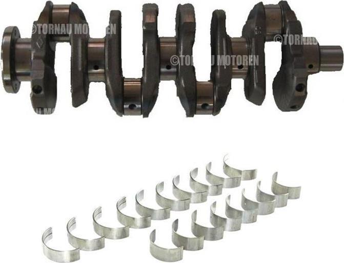 ATMMotoren 10007473 - Коленчатый вал abcparts.ee