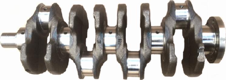 ATMMotoren 10013306 - Коленчатый вал abcparts.ee