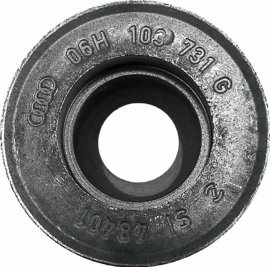 ATMMotoren 10021993 - Шкив коленчатого вала abcparts.ee