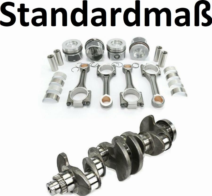 ATMMotoren 10022243 - Поршень abcparts.ee