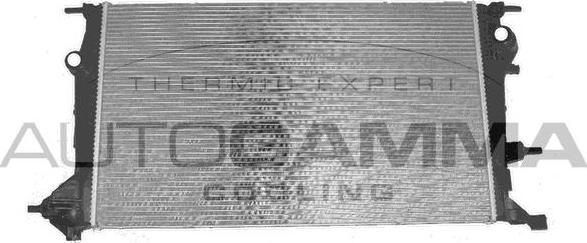Autogamma 105219 - Радиатор, охлаждение двигателя abcparts.ee