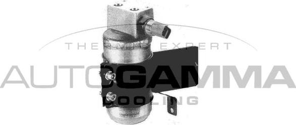 Autogamma 106219 - Осушитель, кондиционер abcparts.ee