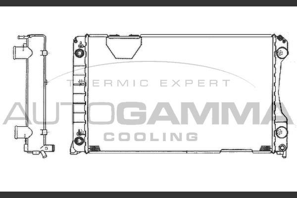 Autogamma 102025 - Радиатор, охлаждение двигателя abcparts.ee