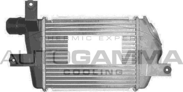 Autogamma 107603 - Интеркулер, теплообменник турбины abcparts.ee