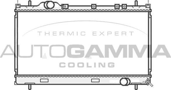 Autogamma 107015 - Радиатор, охлаждение двигателя abcparts.ee