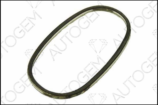 AUTOGEM CEG320 - Прокладка, труба выхлопного газа abcparts.ee