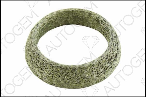 AUTOGEM CEG288 - Уплотнительное кольцо, труба выхлопного газа abcparts.ee