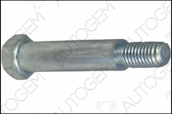 AUTOGEM EMS76 - Болт, система выпуска abcparts.ee