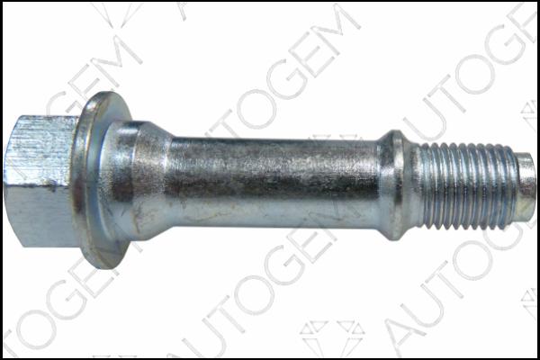 AUTOGEM EMS82 - Болт, система выпуска abcparts.ee