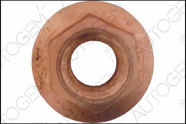 AUTOGEM FN04CU - Гайка, выпускной коллектор abcparts.ee