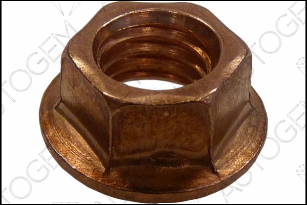 AUTOGEM FN08CU - Гайка, выпускной коллектор abcparts.ee