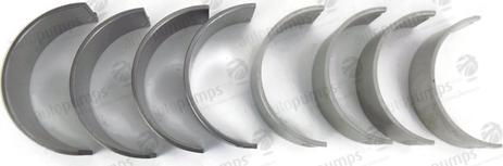 Autopumps UK A4B1516P - Шатунный подшипник abcparts.ee