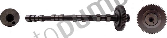 Autopumps UK AC3331 - Распредвал abcparts.ee