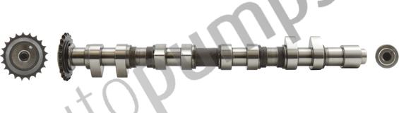 Autopumps UK AC2173 - Распредвал abcparts.ee