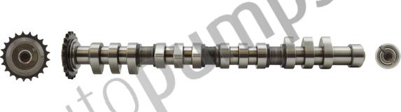 Autopumps UK AC2172 - Распредвал abcparts.ee