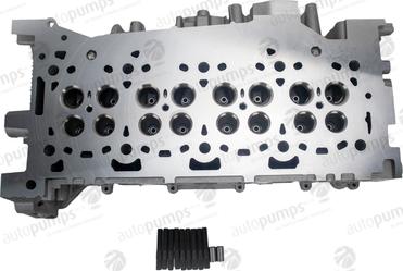 Autopumps UK ACHF8954 - Головка цилиндра abcparts.ee