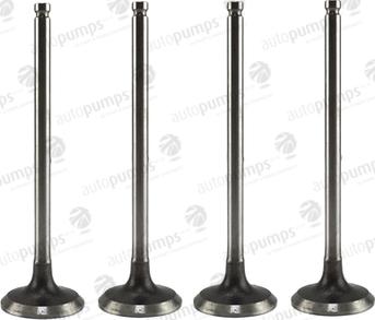 Autopumps UK AEV11103 - Выпускной клапан abcparts.ee