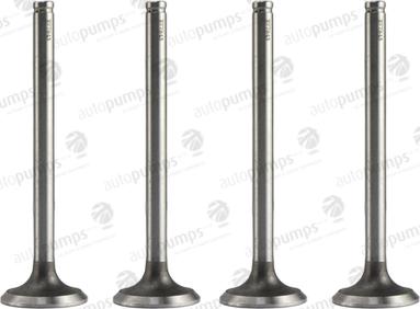 Autopumps UK AEV7843 - Выпускной клапан abcparts.ee