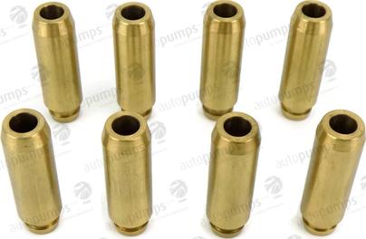 Autopumps UK AG3322 - Направляющая втулка клапана abcparts.ee
