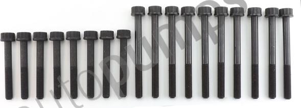 Autopumps UK AHB9137SET - Комплект болтов головки цилиндра abcparts.ee